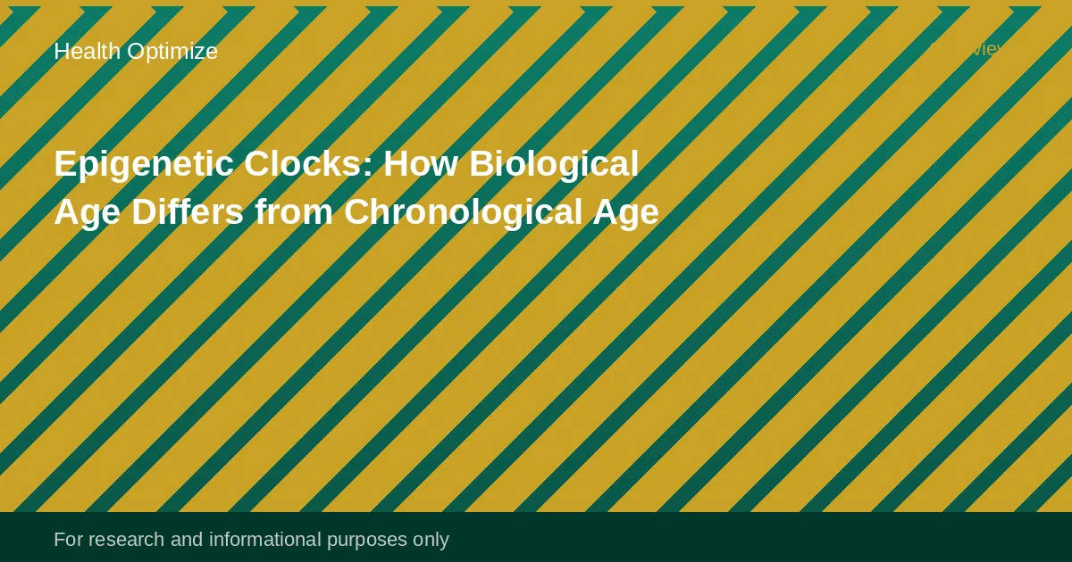 A split image comparing a DNA methylation heatmap visualization on one side and a chronological calendar on the other, representing the difference between biological and chronological age